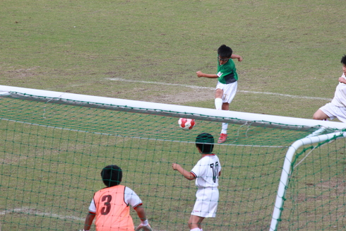 img_20190621-141239.jpg