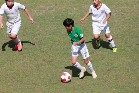 img_20190621-141256.jpg