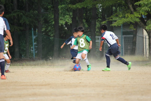 img_20190625-140731.jpg