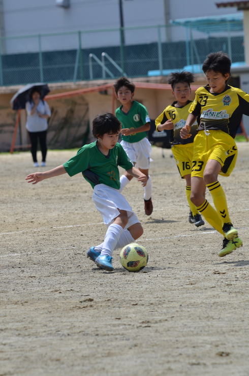 img_20190713-130027.jpg