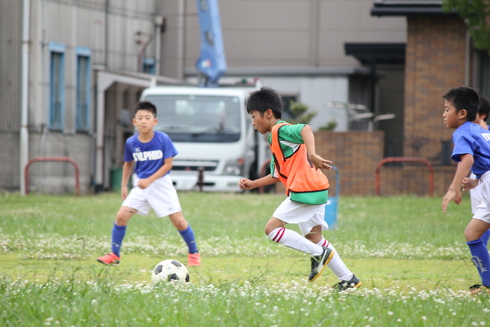 img_20190722-085819.jpg