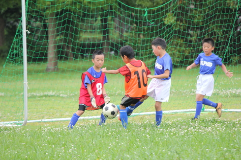 img_20190722-090222.jpg