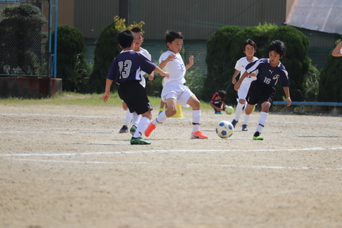 img_20191007-123928.jpg
