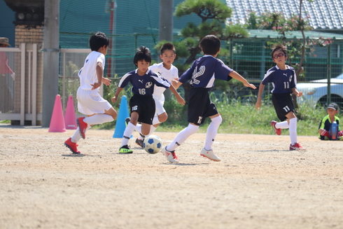 img_20191007-124013.jpg