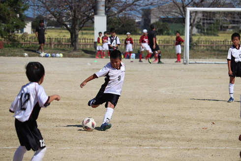 img_20191007-124803.jpg