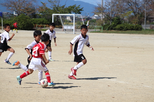 img_20191007-125155.jpg