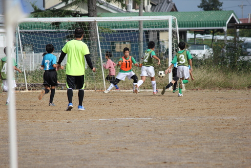 img_20191103-024135.jpg