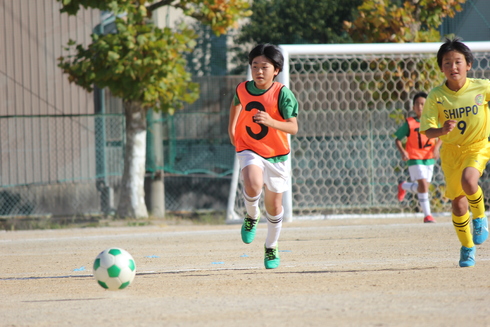 img_20191126-085206.jpg