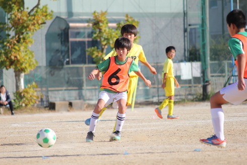 img_20191126-085314.jpg