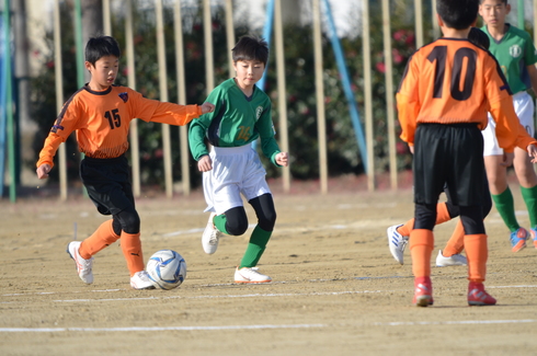 img_20200206-112019.jpg