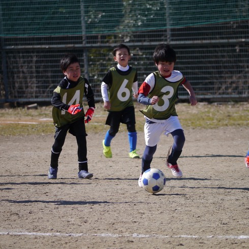 img_20200209-123832.jpg