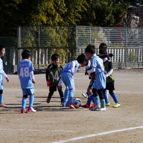 img_20200209-124129.jpg