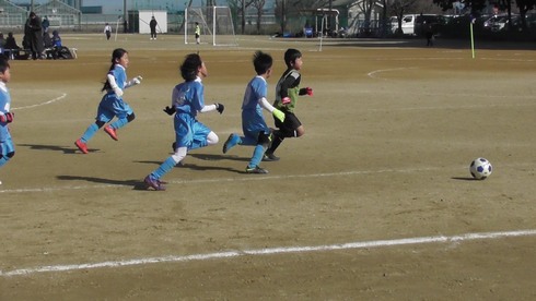 img_20200209-124339.jpg