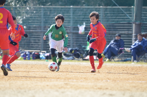 img_20200211-121022.jpg
