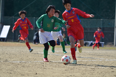 img_20200211-121144.jpg
