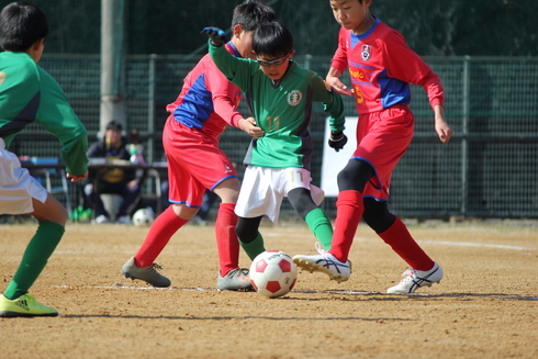 img_20200211-121253.jpg