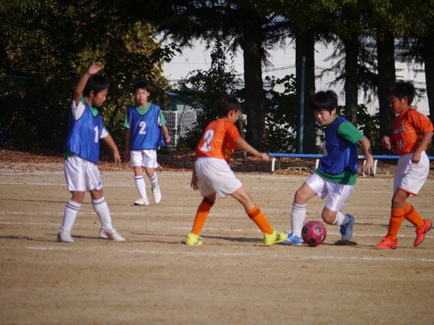 img_20211121-045945.jpg