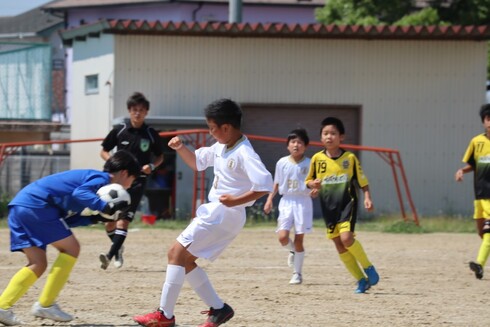img_20220615-021944.jpg