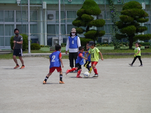 img_20220622-013813.jpg