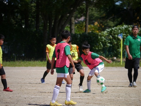 img_20220726-011149.jpg