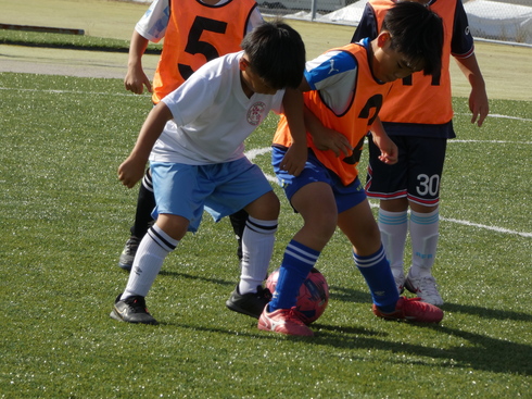 img_20221103-063502.jpg