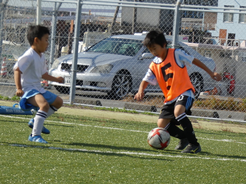 img_20221103-063653.jpg