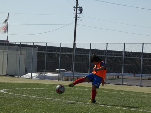 img_20221103-063924.jpg