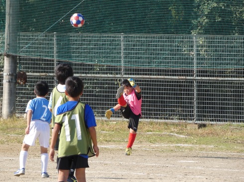img_20221118-003333.jpg