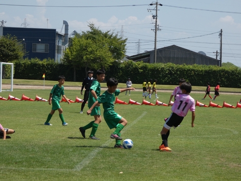 img_20230819-130410.jpg