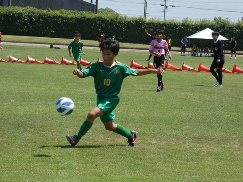 img_20230819-130526.jpg