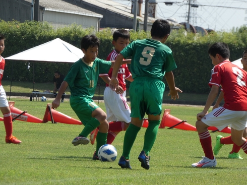 img_20230819-130628.jpg