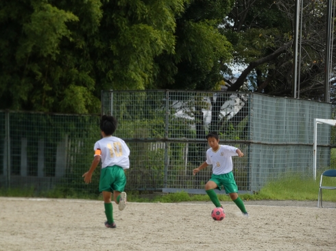 img_20231008-041214.jpg