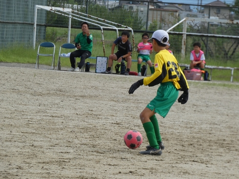 img_20231008-041227.jpg