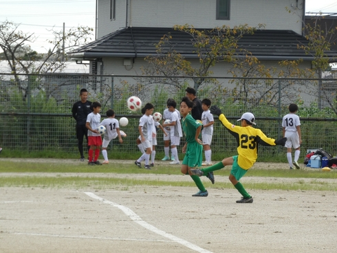 img_20231008-041401.jpg