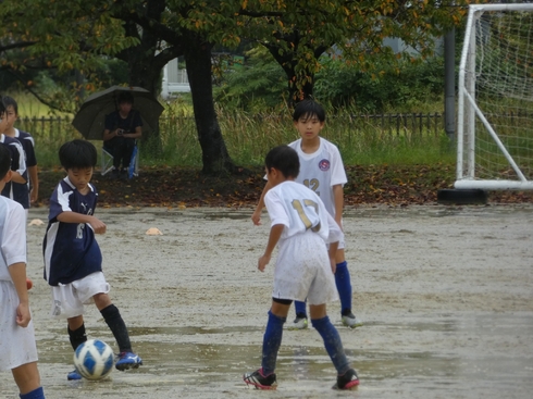 img_20231008-042130.jpg