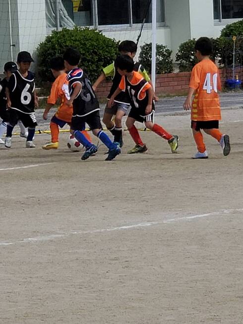 img_20231014-113625.jpg