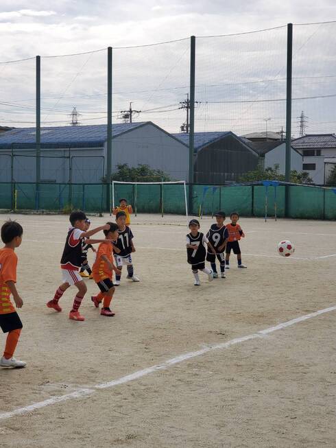 img_20231014-113703.jpg