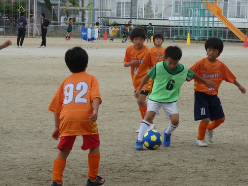 img_20231021-122507.jpg