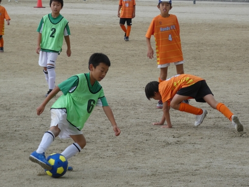 img_20231021-122545.jpg
