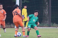 img_20260705-161230.jpg