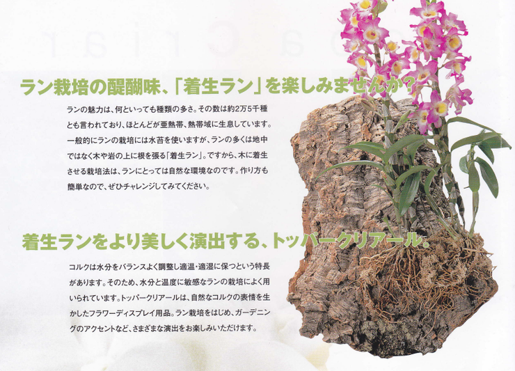 img_20150423-115447.png