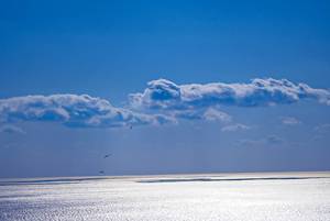 img_20200113-141933.jpg