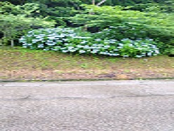 img_20190711-115234.jpg